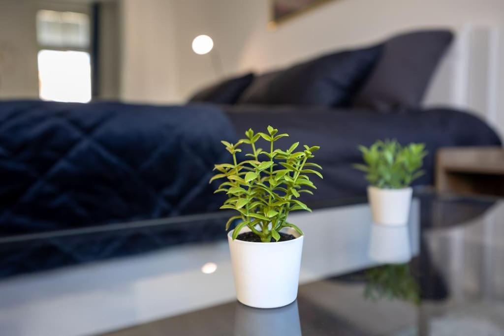Royal Blue Deluxe Apartment *